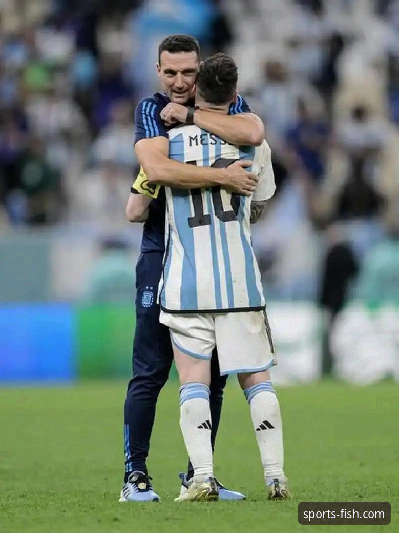 阿根廷新星重伤，斯卡洛尼的战术拼图如何补全？